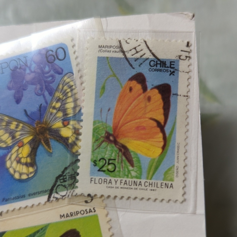 Butterfly Stamps - Picture 4 of 7